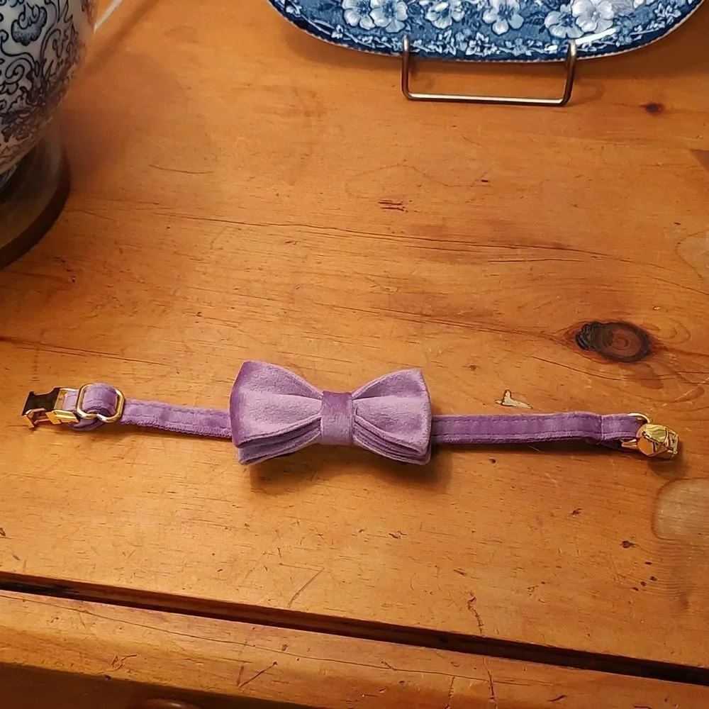 Purple Velvet Bow Cat Collar with Gold Bell and Breakaway Closure NWOT